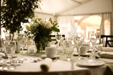 Marquee Interiors